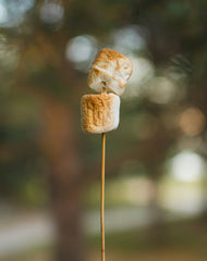 Toasted Marshmallow 50ml Perfume Oil Dropper