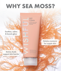 Get Clean 2 PHA Sea Moss Gentle Foaming Cleanser