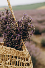Cedar & Lavender 10 oz scented candle