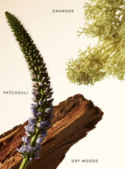 Fragrance Layering Balm Woody Oak