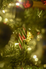 Crushed Candy Cane 100 ml Reed Diffuser
