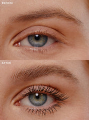 Mascara Brow Gel Duo