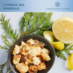 Candle Intentions Collection Candle Be Present Live in the moment Cypress Sea Minerals 13 oz Home Décor
