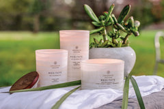 Candle Mind Body Serenity Scented Candle Meditate with Pure Essential Oils Ylang Ylang Lemon Cedarwood Large