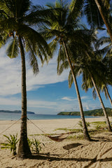 Tahitian Vanilla Natural Home 20 oz Liquid Hand Soap