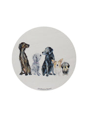 Sand + Paws Teakwood 12 oz scented candle