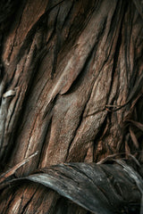 Vanilla Sandalwood 21 oz scented candle