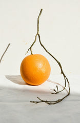 Citrus & Sandalwood 12 oz scented candle
