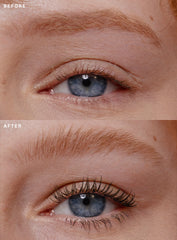 Mascara Brow Gel Duo