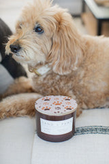 Sand + Paws Amber & Fig 12 oz scented candle