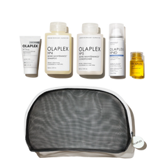 THE HEALTHY HAIR TRAVEL SET