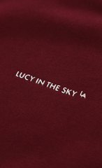 Oversize Zip Up Hoodie in Burgundy