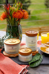 Candle PT41320 Scented Candle Pineapple Thyme Large Jar