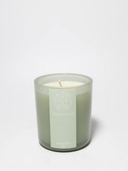 Eucalyptus 10 oz scented candle