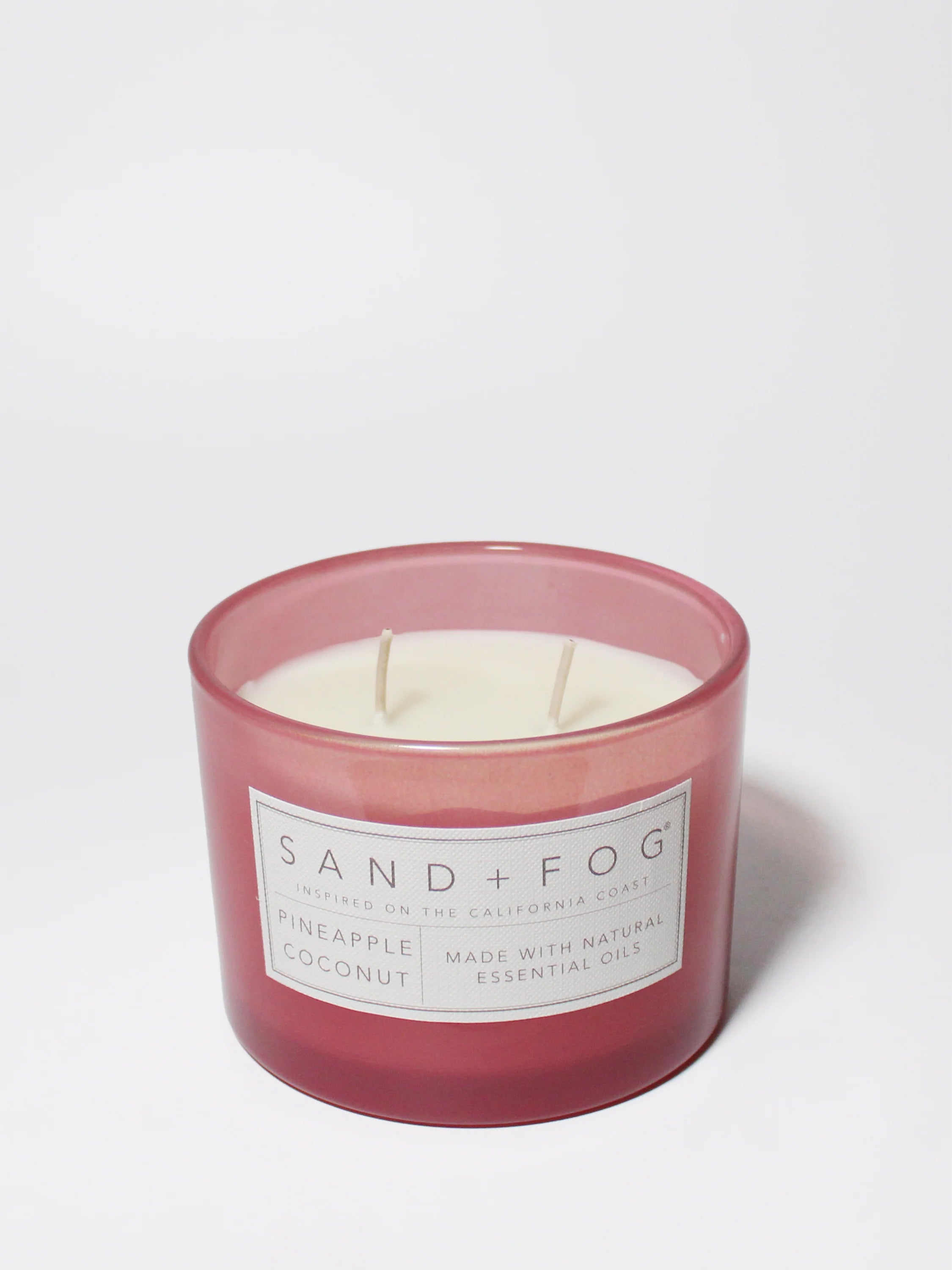 Pineapple Coconut 12 oz scented candle