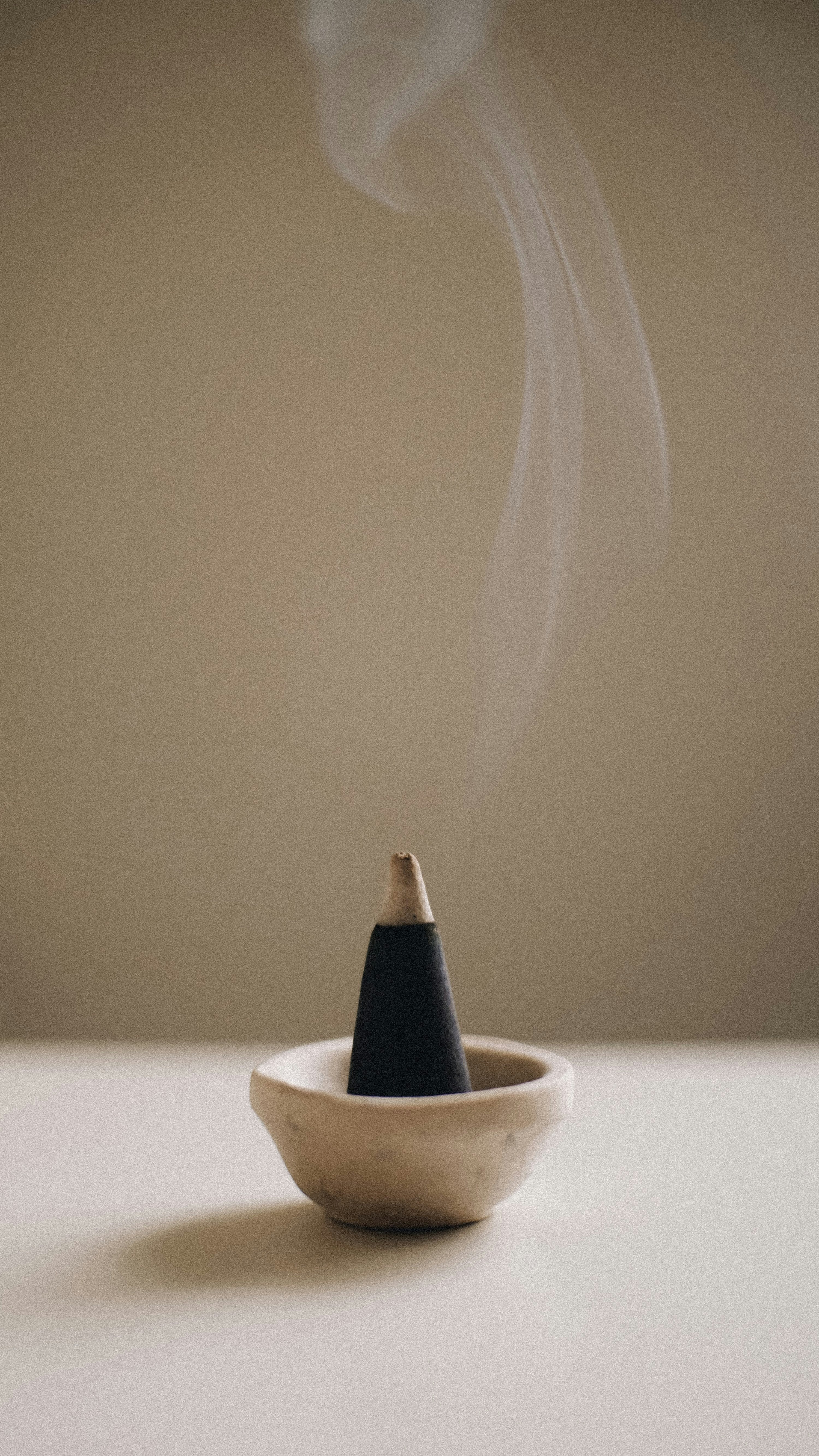 Sand + Paws Saddle & Cardamom 12 oz scented candle