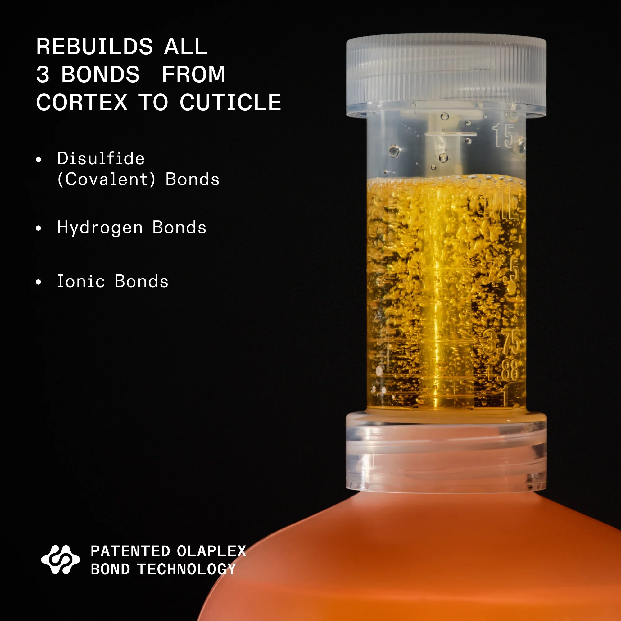 PRO EXCLUSIVE Nº1 BOND MULTIPLIER