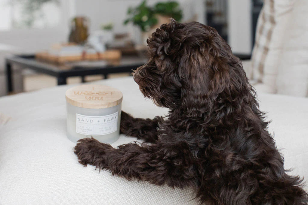 Sand + Paws Earthly Eucalyptus Mint 12 oz scented candle