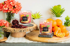 Aromascape PT40990 3 Wick Scented Jar Candle Orange Cranberry 14 Ounce