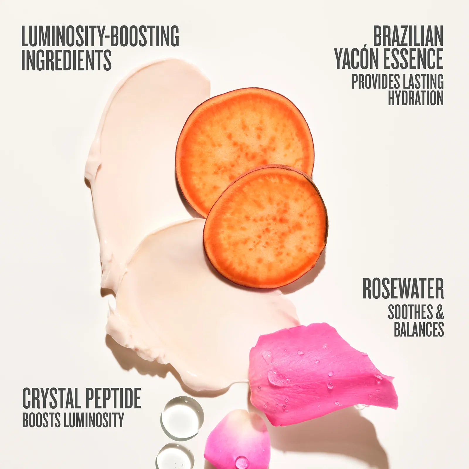 Rosa Charmosa Duo Online Exclusive