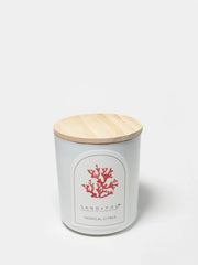 Tropical Citrus 10 oz scented candle