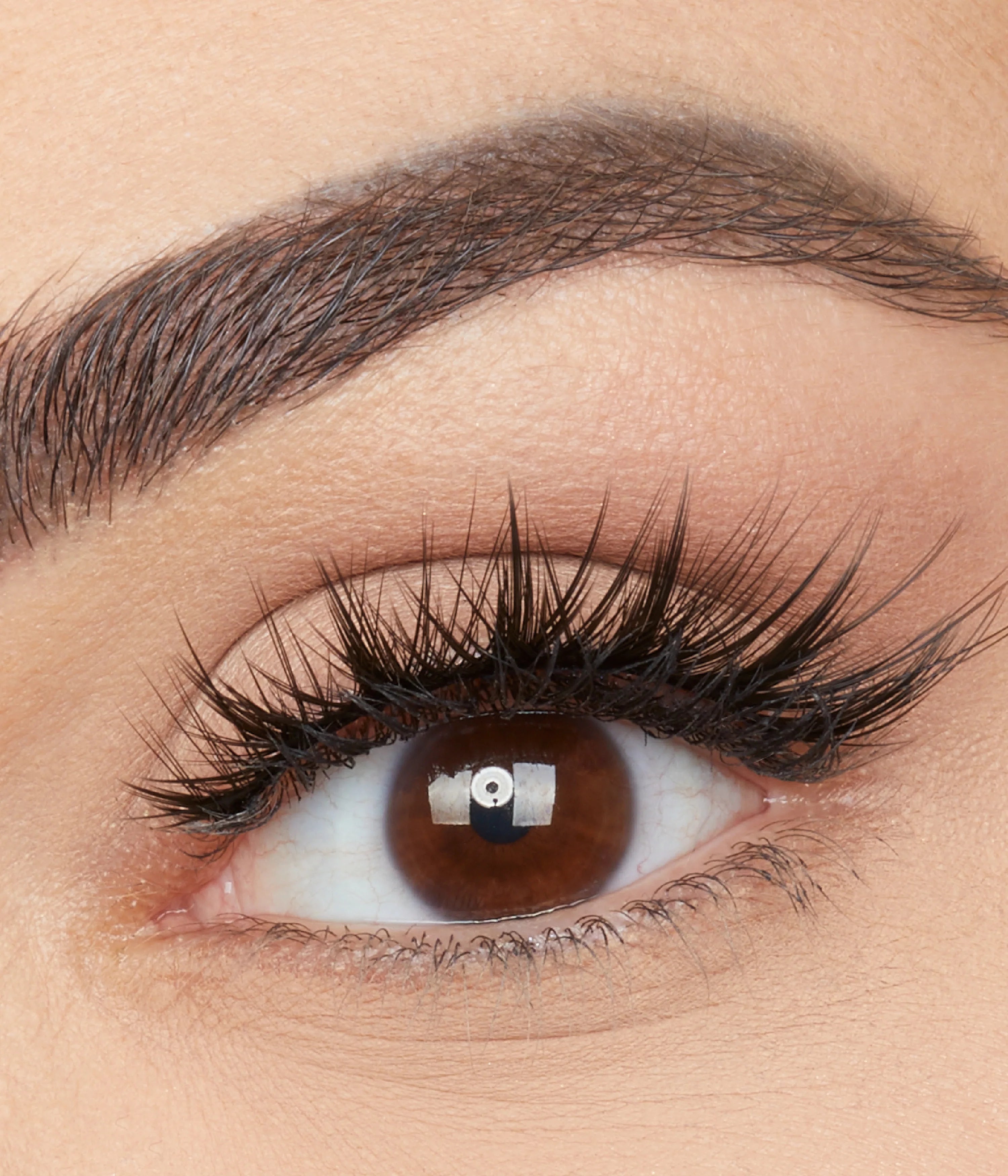 Classic False Lash Scarlett 8