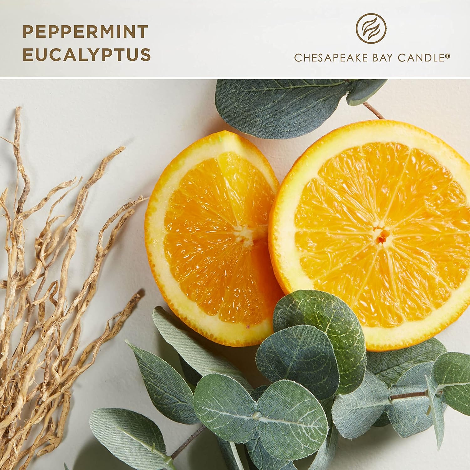 Candle Intentions Collection Candle Be Focused Remember what matters Peppermint Eucalyptus 13 oz Home Décor