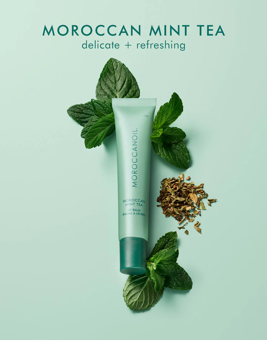 Lip Balm