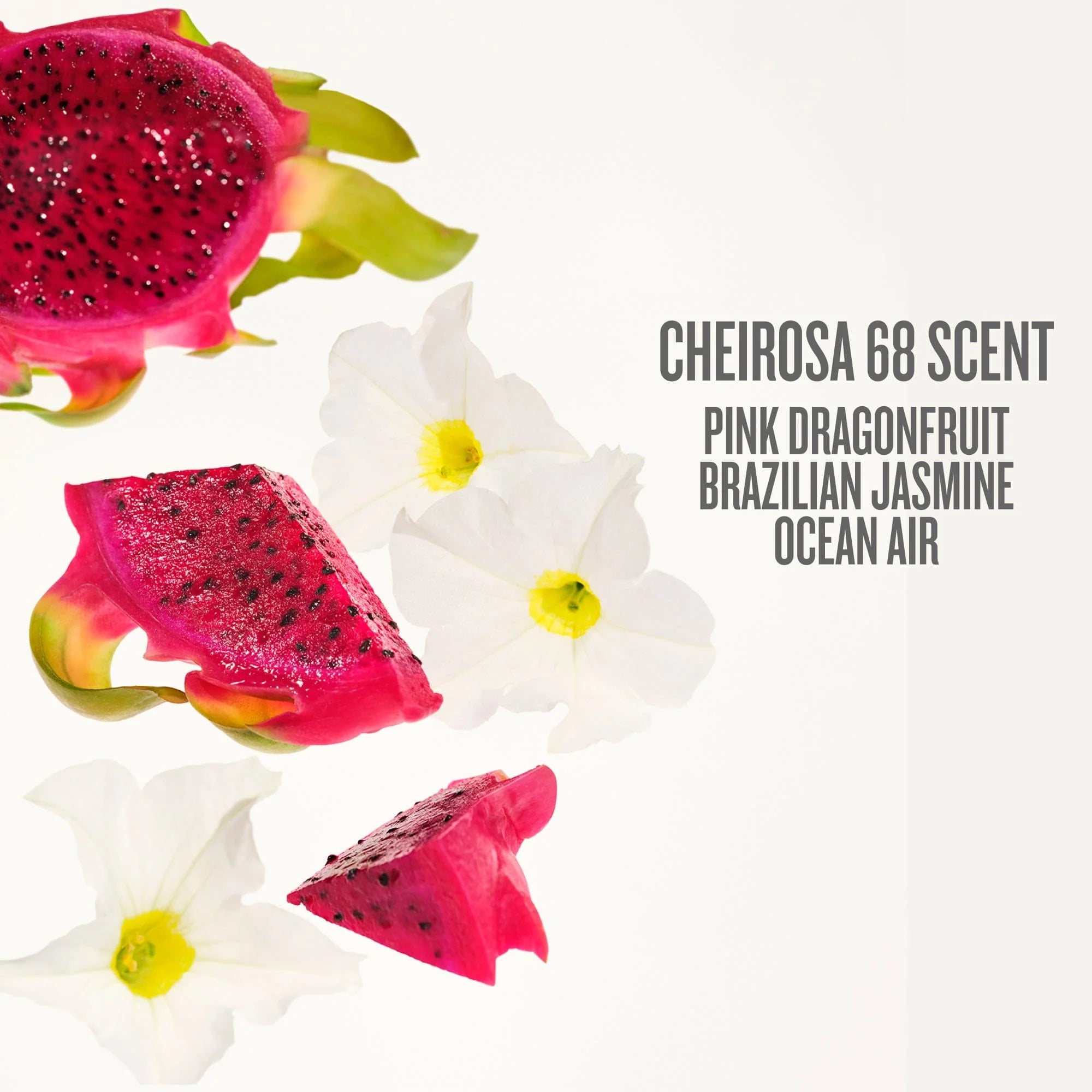 Elasticity Boosting Duo