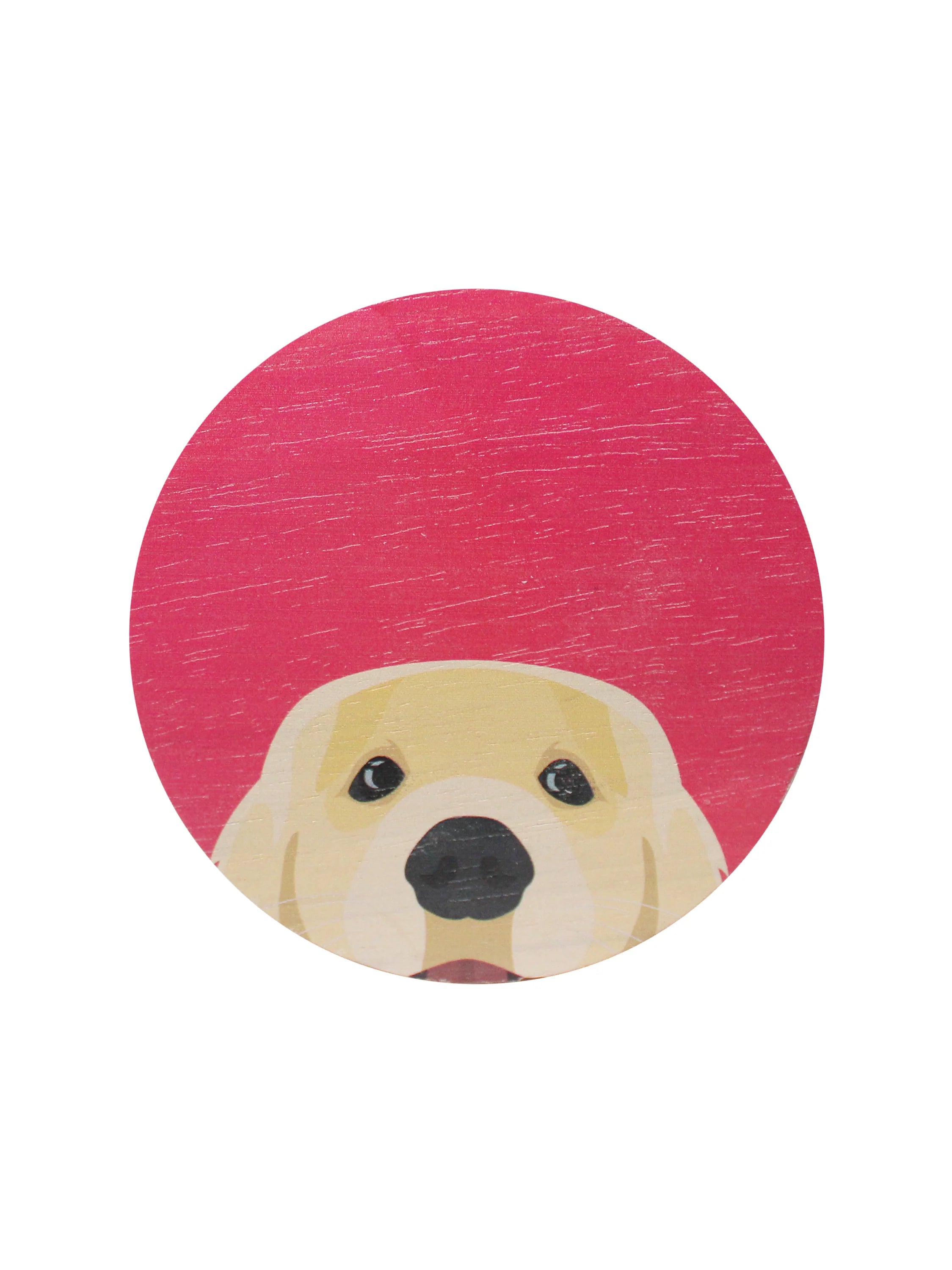 Sand + Paws Sun-n-Fun 12 oz scented candle