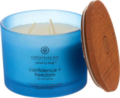 Candle Scented Candle Confidence Freedom Oak Moss Amber 3 Wick Coffee Table Jar Blue Home Décor