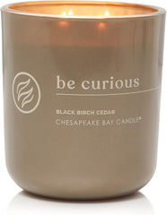 Candle Intentions Collection Candle Be Curious Possibilities are endless Black Birch Cedar 13 oz Home Décor