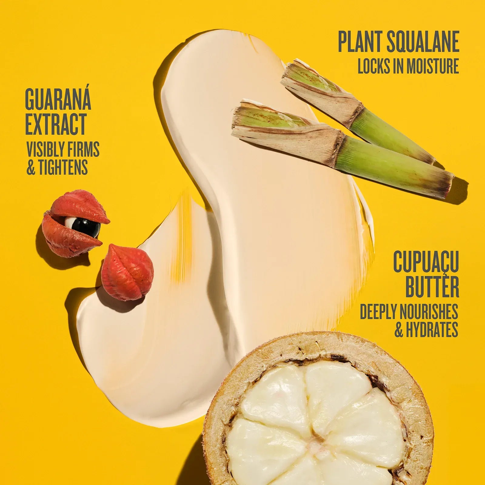 Brazilian Obsession Collection Online Exclusive