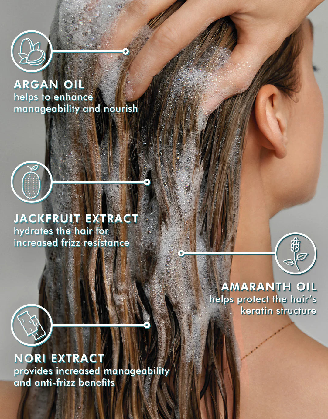 Frizz Control Shampoo Conditioner Bundle