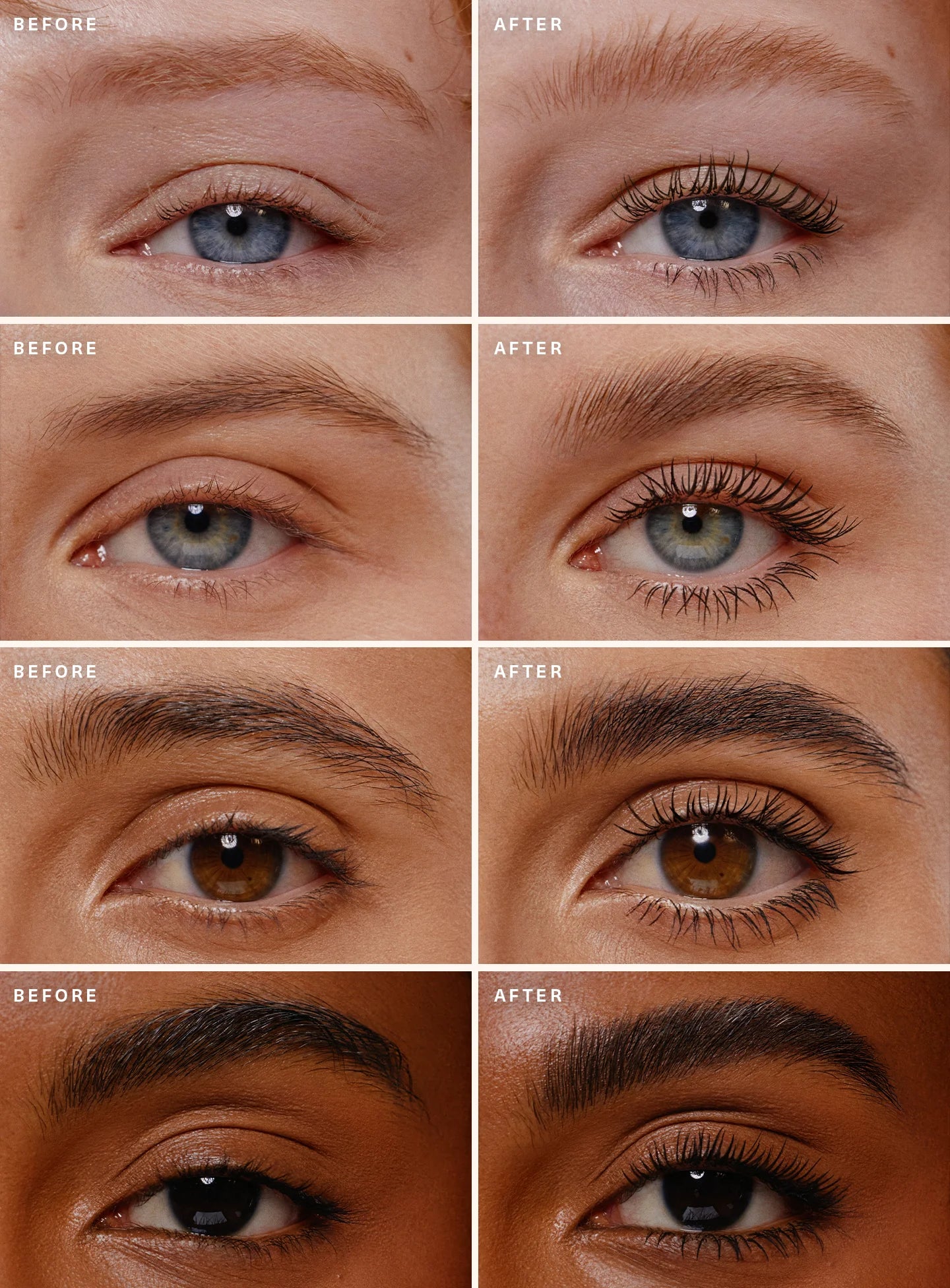 Selenas Lash Brow Duo