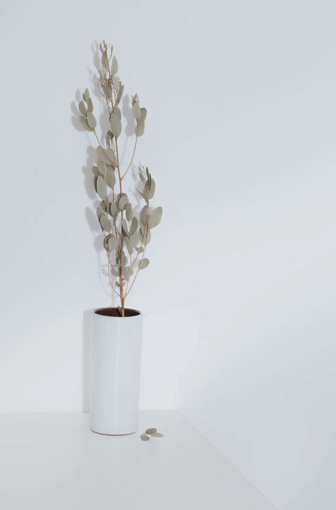 Eucalyptus Spearmint 100 ml Reed Diffuser
