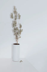 Eucalyptus Spearmint 21 oz scented candle