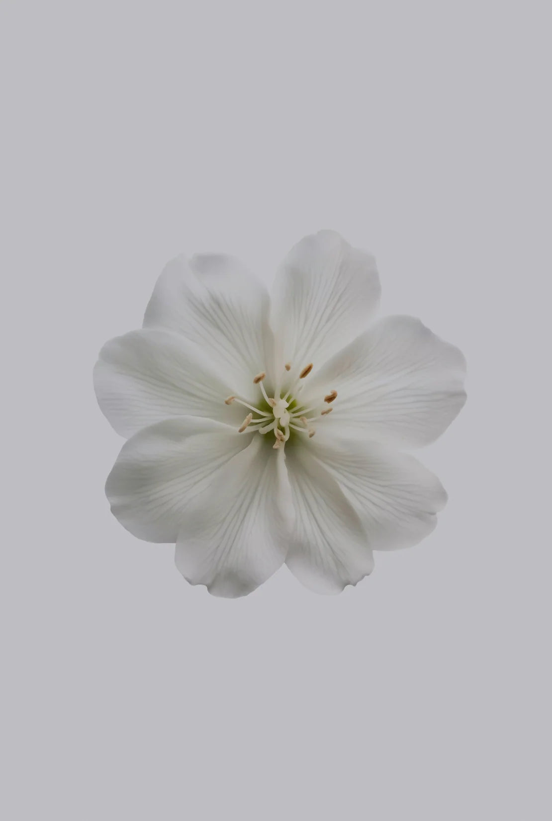 Fresh Jasmine 12 oz scented candle