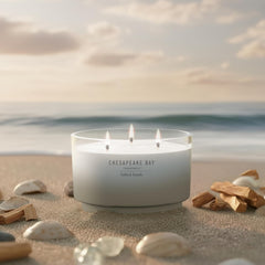 145oz Salted Sands Scented Candle Mood Evoking Fragrance Sea Glass Inspired Jar Premium Soy Blend Wax with Essential Oils Coastal Fragrance for Home Décor or Gifting