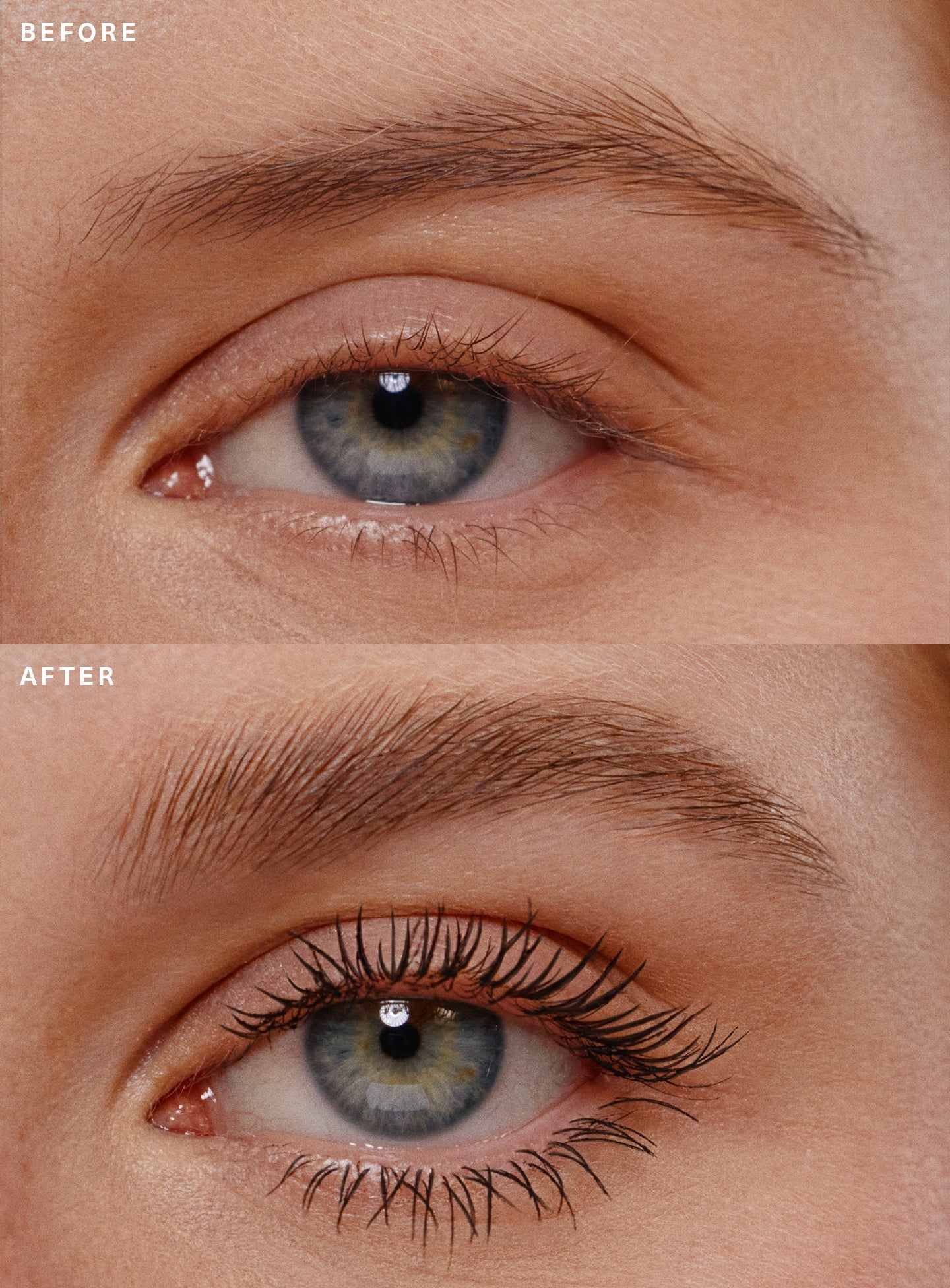 Mascara Brow Gel Duo