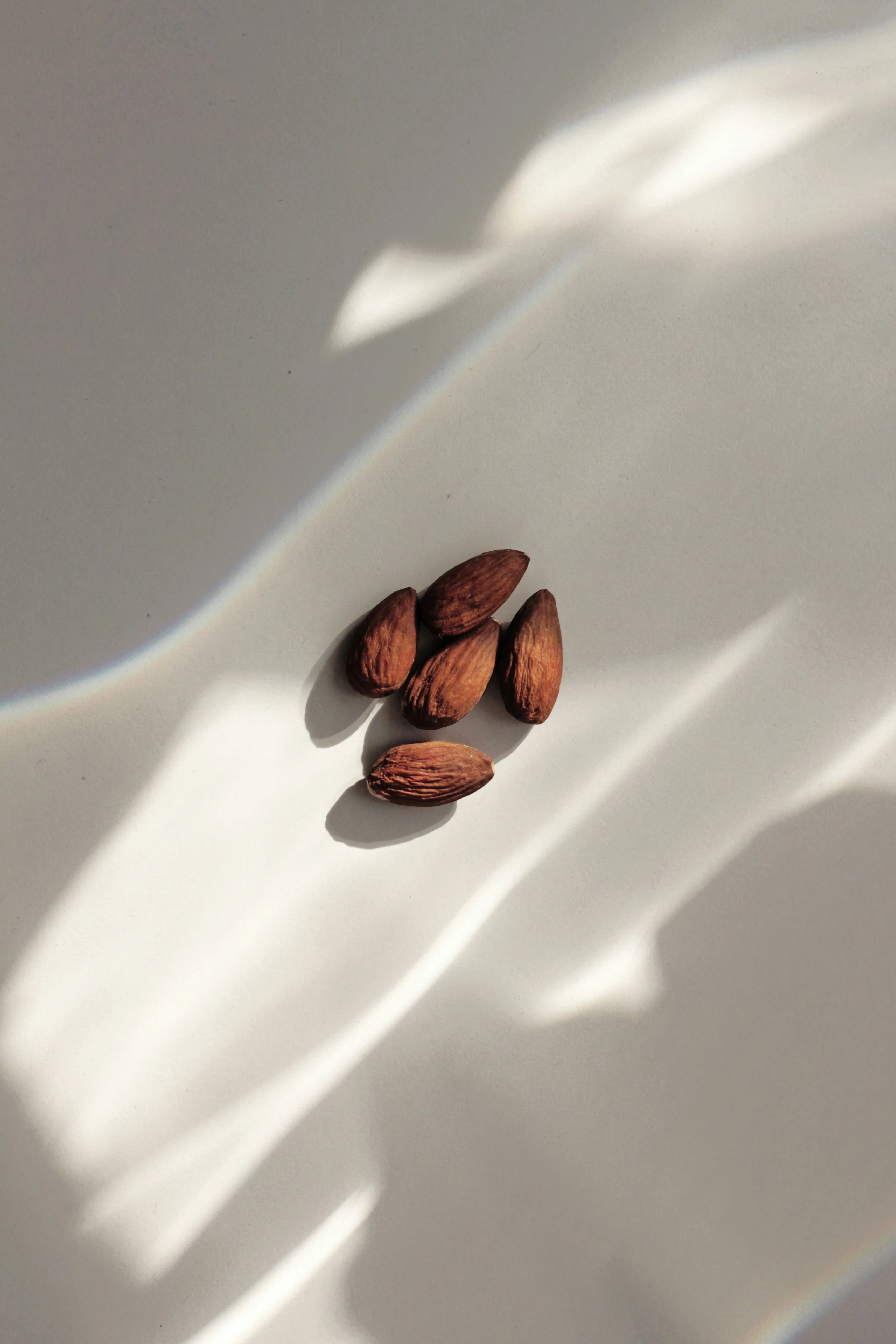Vanilla Almond 100 ml Eau de Toilette