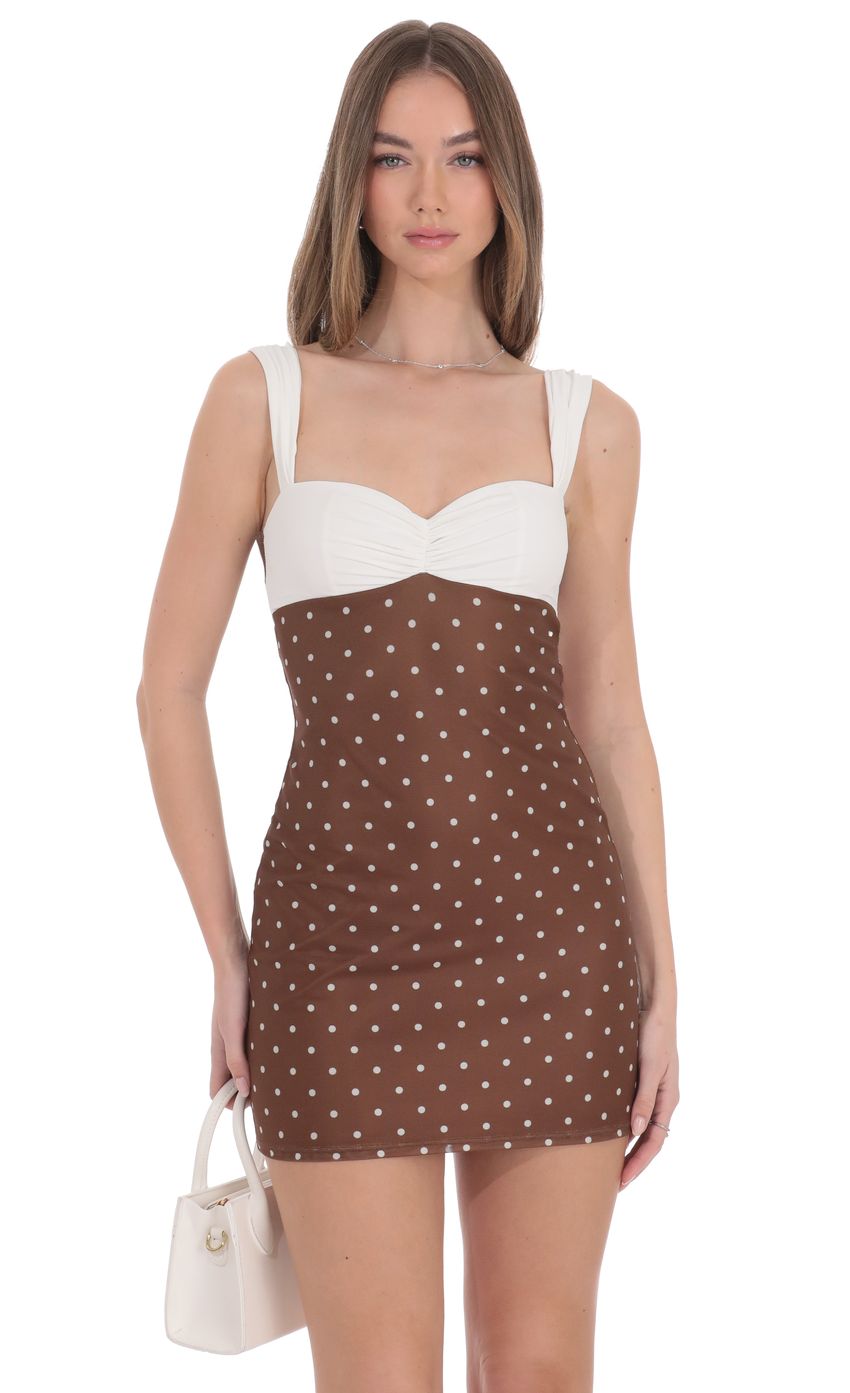 Two Tone Polka Dot Mesh Bodycon Dress in Brown