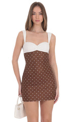 Two Tone Polka Dot Mesh Bodycon Dress in Brown