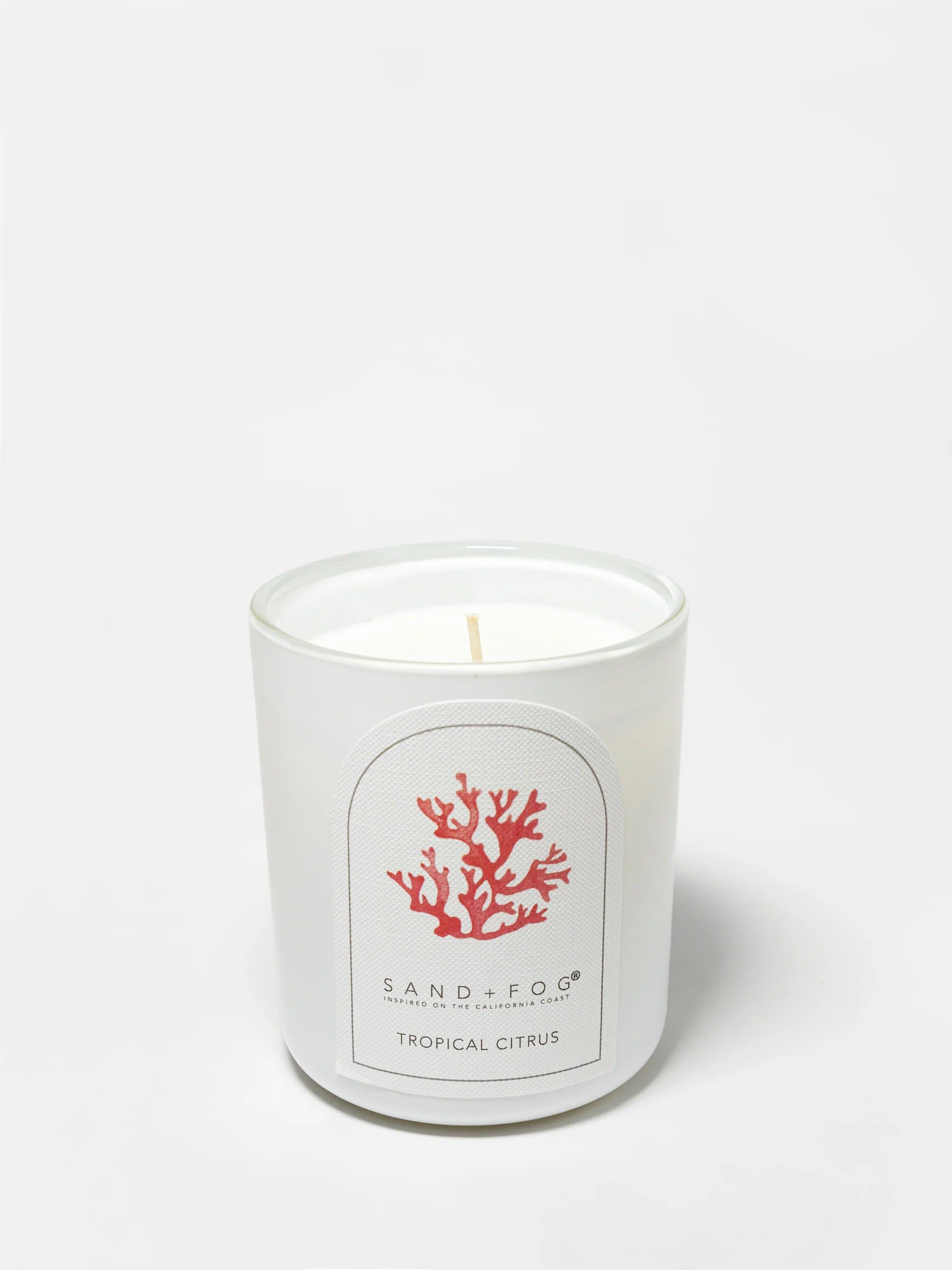 Tropical Citrus 10 oz scented candle