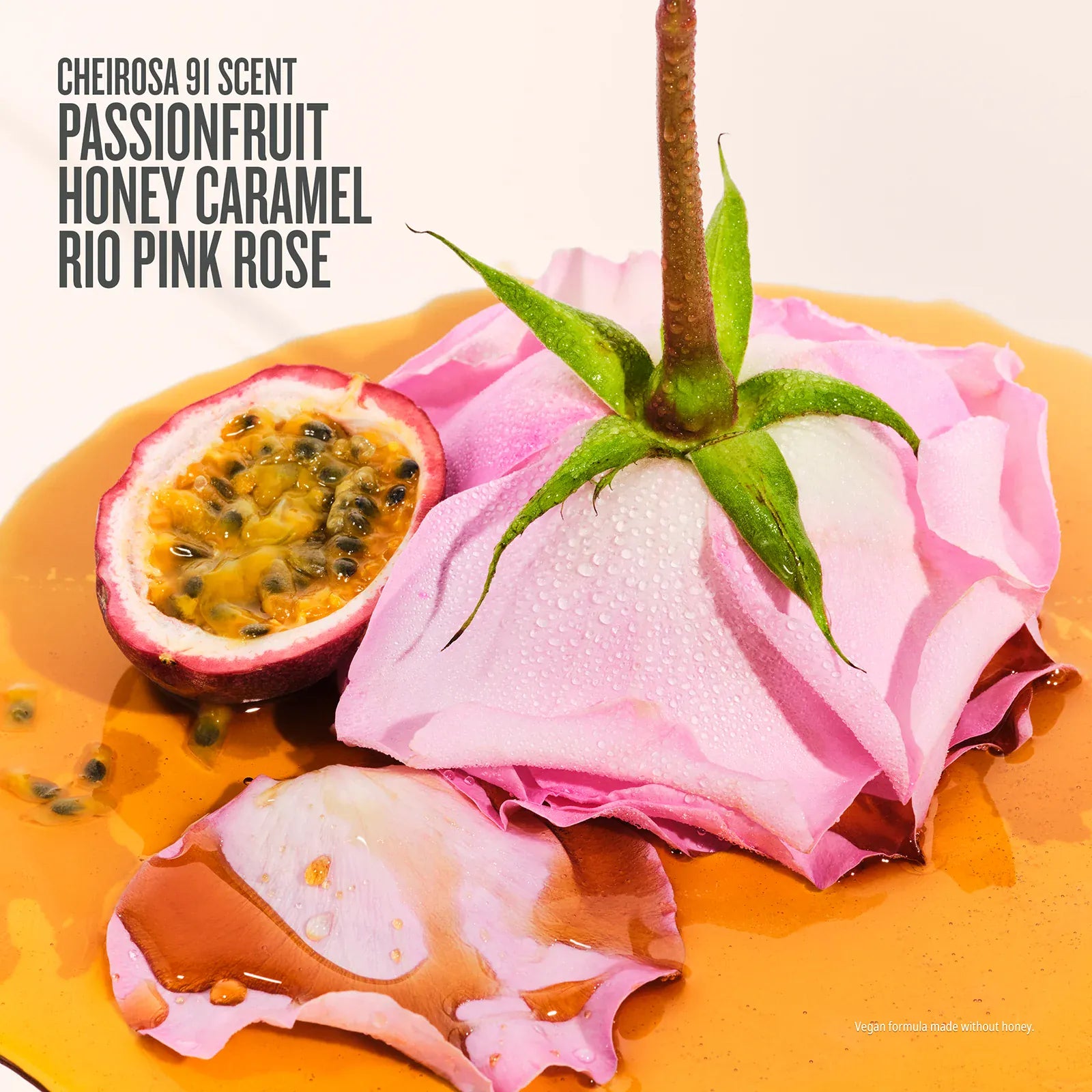 Rosa Charmosa Duo Online Exclusive