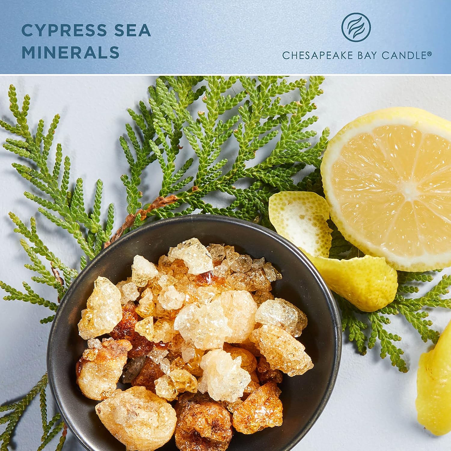 Candle Intentions Collection Candle Be Present Live in the moment Cypress Sea Minerals 13 oz Home Décor