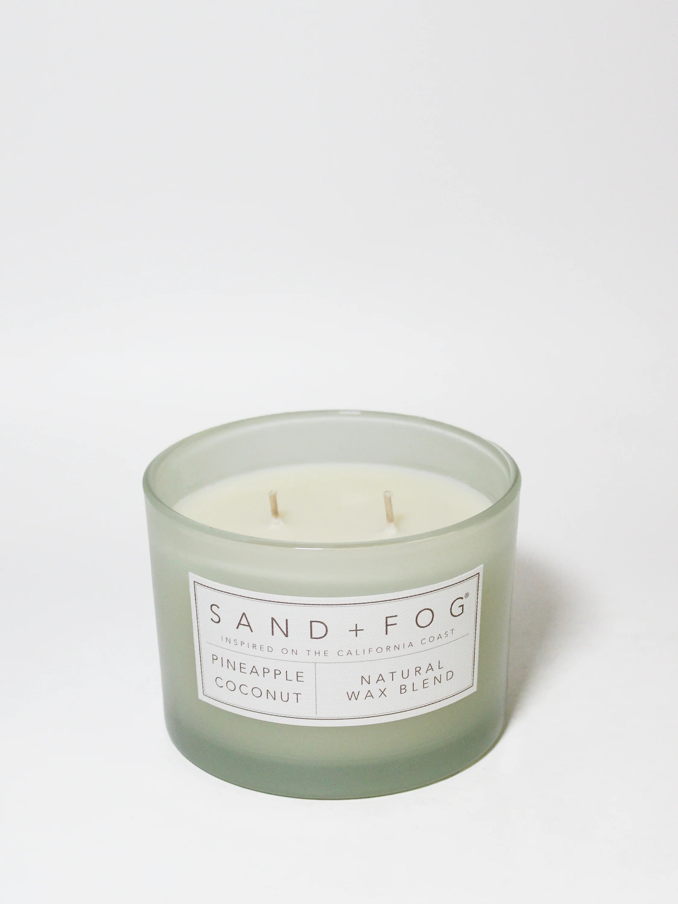 Pineapple Coconut 12 oz scented candle