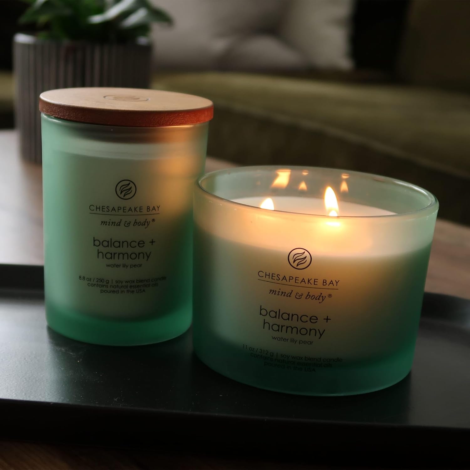 Candle Scented Candle Balance Harmony Water Lily Pear Coffee Table Home Décor