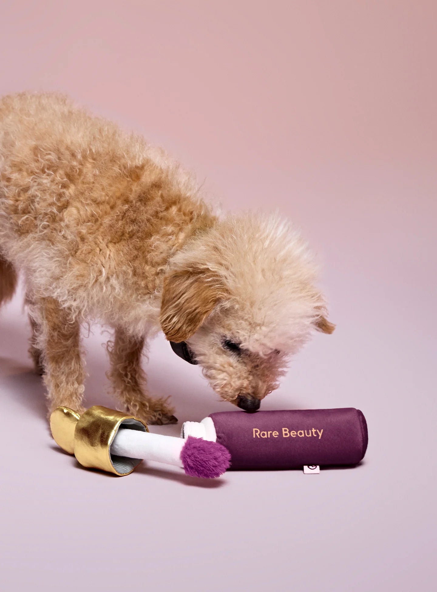 Soft Pooch Blush Dog Toy Faith