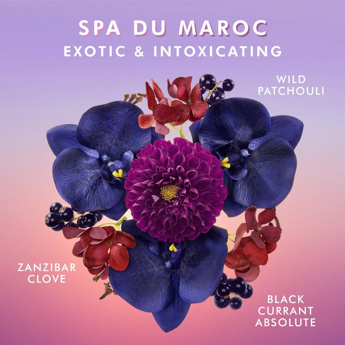 Shower Gel Spa Du Maroc